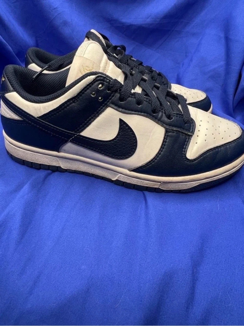 Nike dunk prm